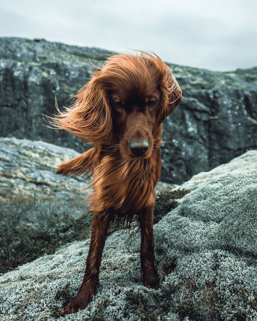 The-Secret-Life-Of-Troja-Photography-George