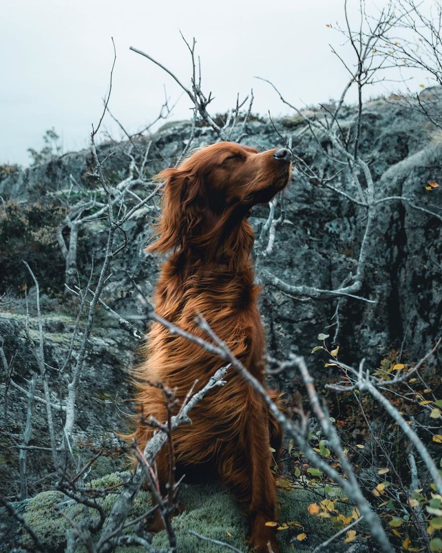 The-Secret-Life-Of-Troja-Photography-George