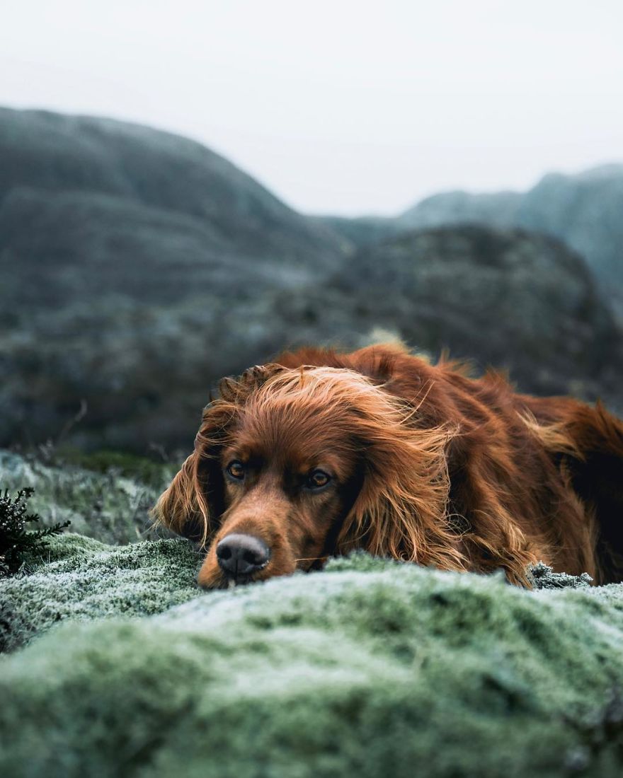 The-Secret-Life-Of-Troja-Photography-George