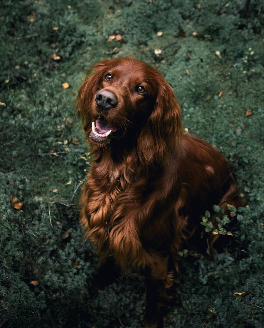 The-Secret-Life-Of-Troja-Photography-George