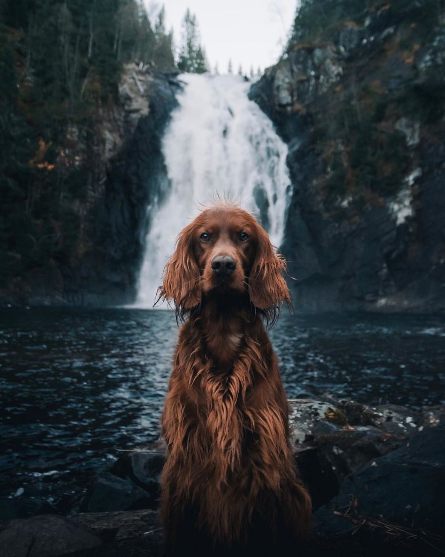 The-Secret-Life-Of-Troja-Photography-George