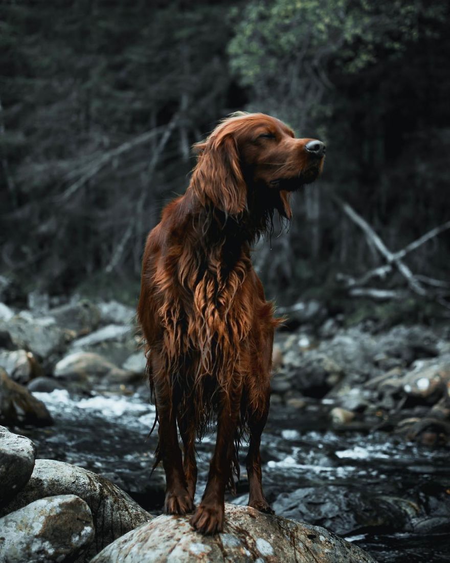 The-Secret-Life-Of-Troja-Photography-George