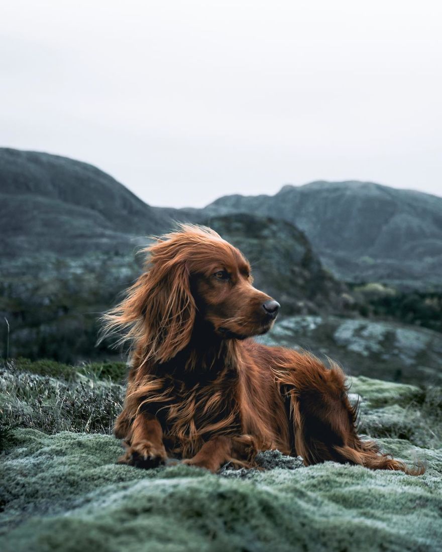 The-Secret-Life-Of-Troja-Photography-George