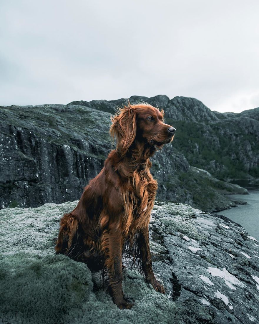 The-Secret-Life-Of-Troja-Photography-George