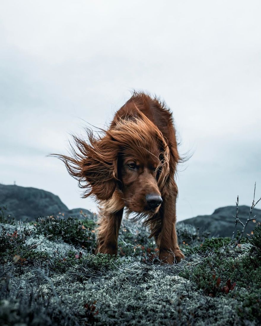 The-Secret-Life-Of-Troja-Photography-George