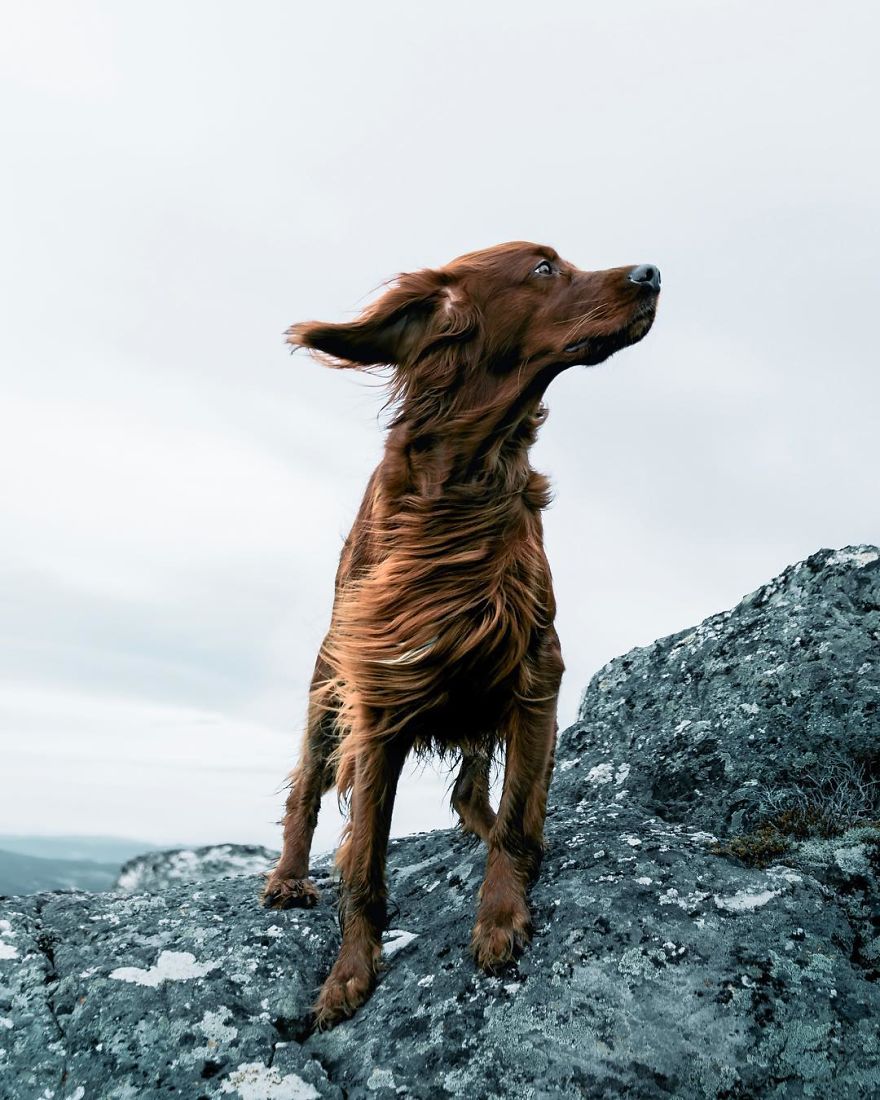 The-Secret-Life-Of-Troja-Photography-George