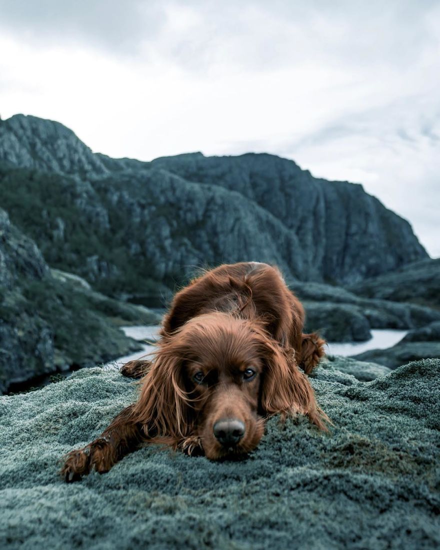 The-Secret-Life-Of-Troja-Photography-George