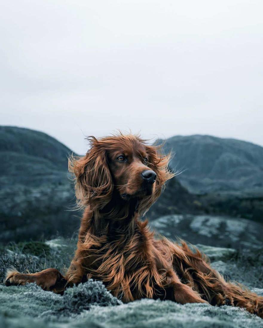 The-Secret-Life-Of-Troja-Photography-George