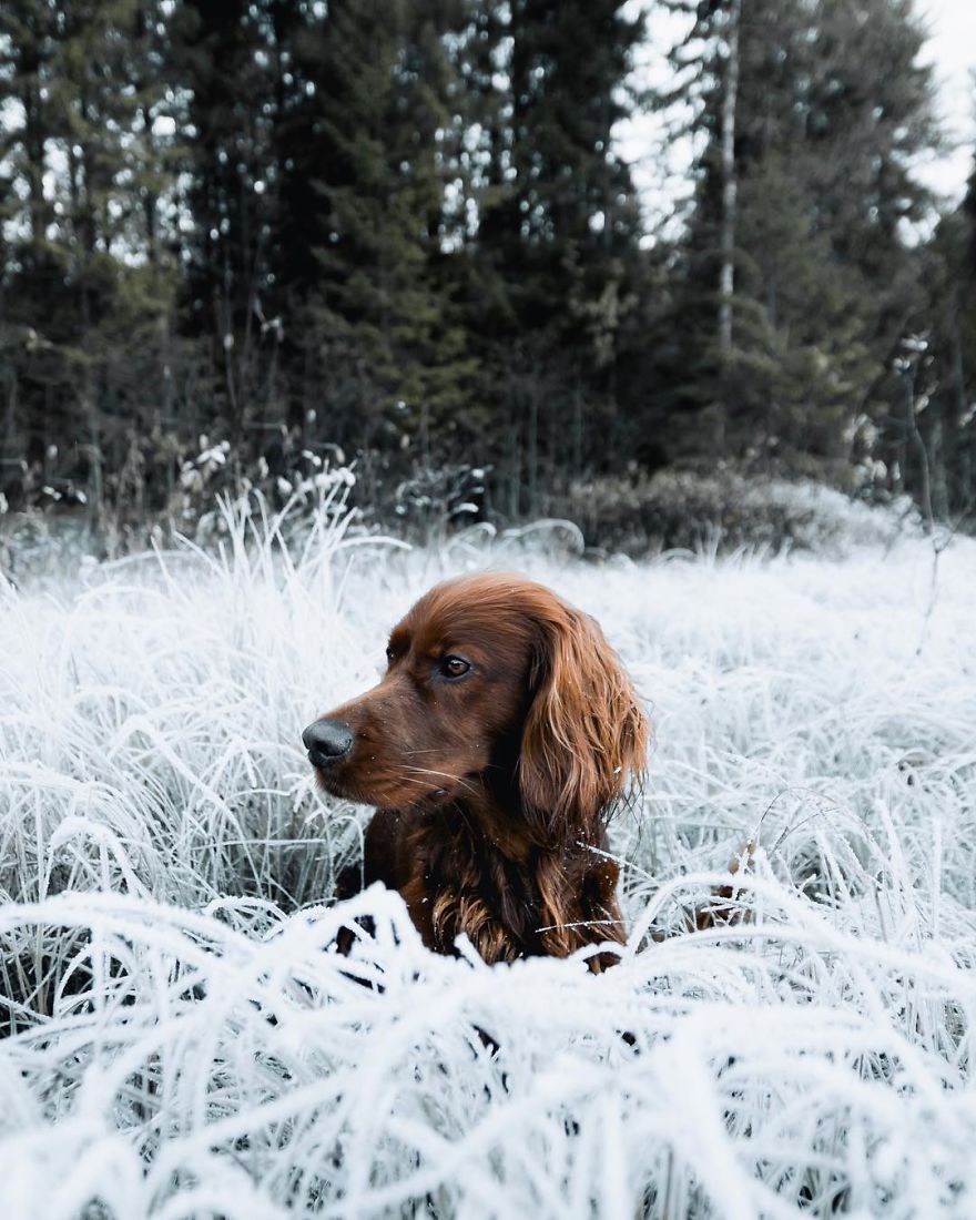 The-Secret-Life-Of-Troja-Photography-George