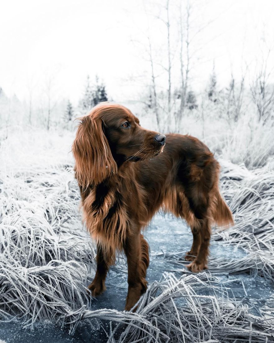 The-Secret-Life-Of-Troja-Photography-George