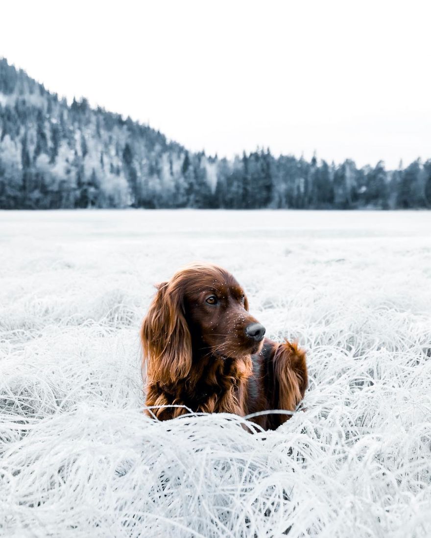 The-Secret-Life-Of-Troja-Photography-George