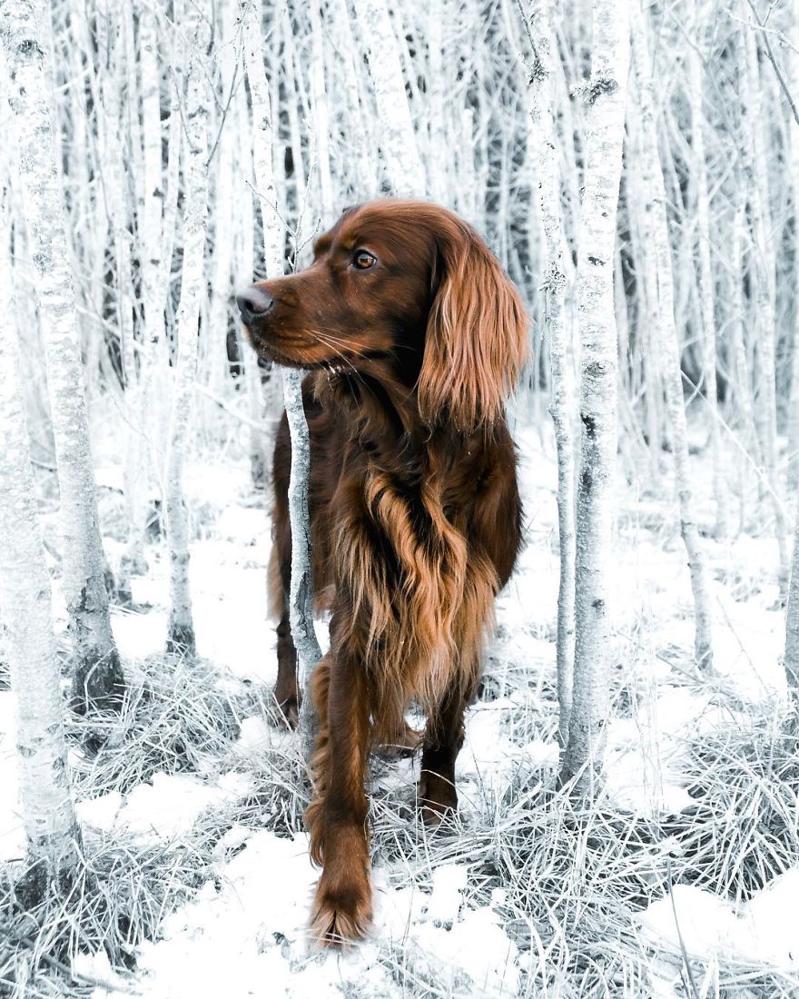 The-Secret-Life-Of-Troja-Photography-George