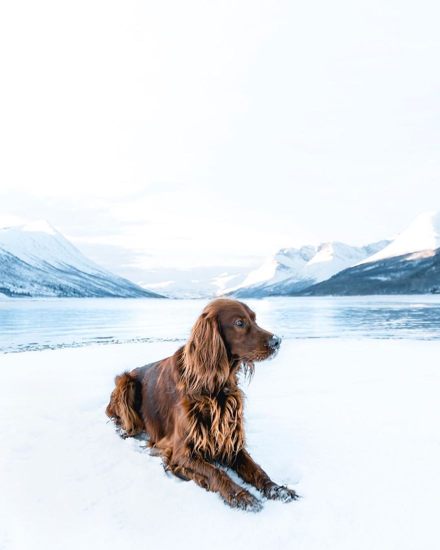 The-Secret-Life-Of-Troja-Photography-George