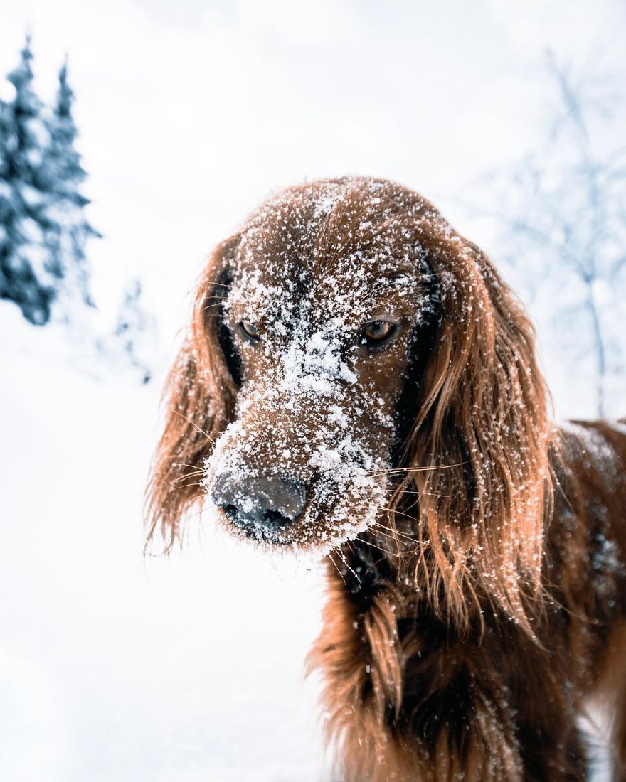 The-Secret-Life-Of-Troja-Photography-George