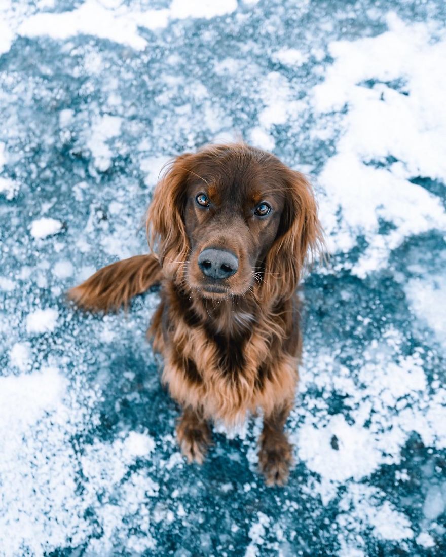 The-Secret-Life-Of-Troja-Photography-George