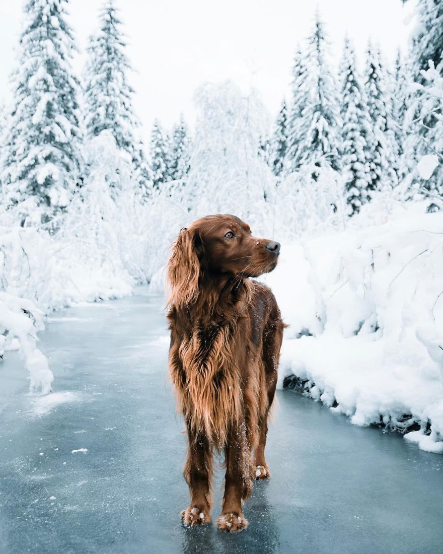 The-Secret-Life-Of-Troja-Photography-George