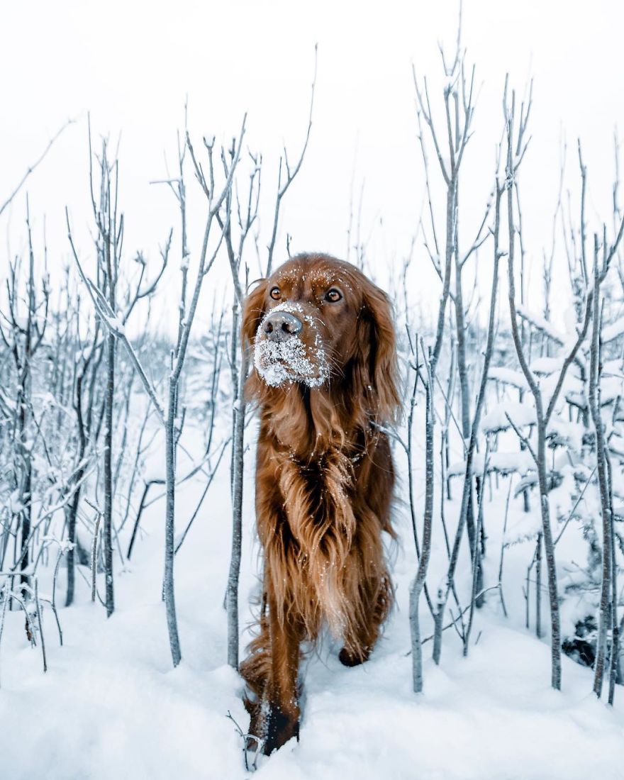 The-Secret-Life-Of-Troja-Photography-George