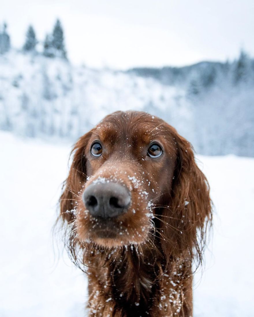 The-Secret-Life-Of-Troja-Photography-George