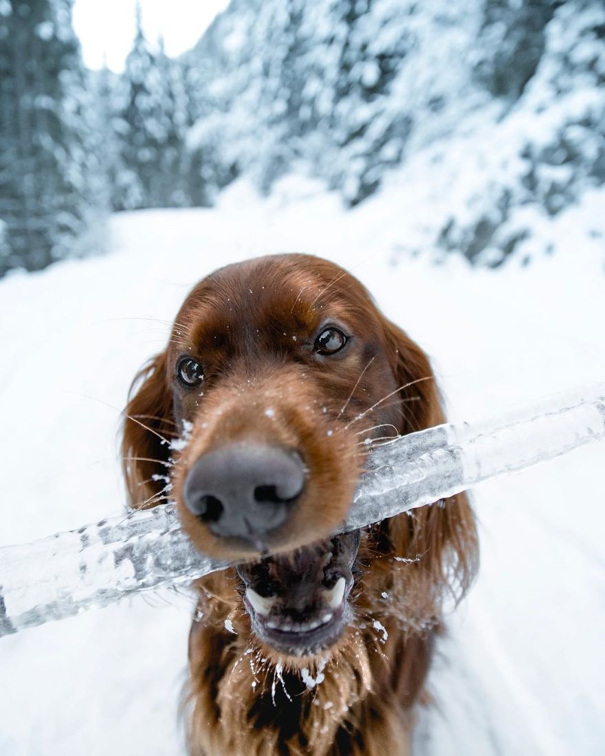 The-Secret-Life-Of-Troja-Photography-George