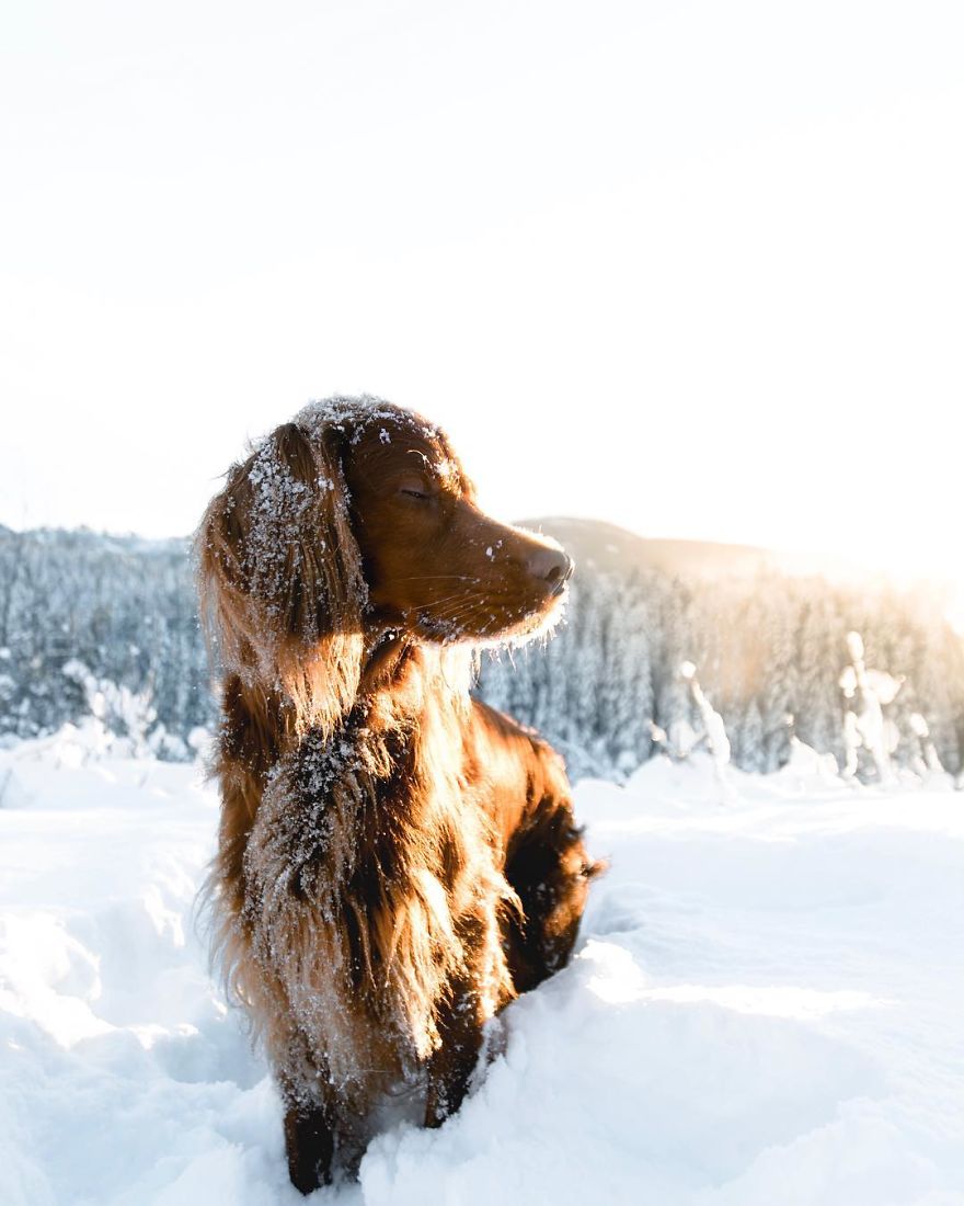 The-Secret-Life-Of-Troja-Photography-George