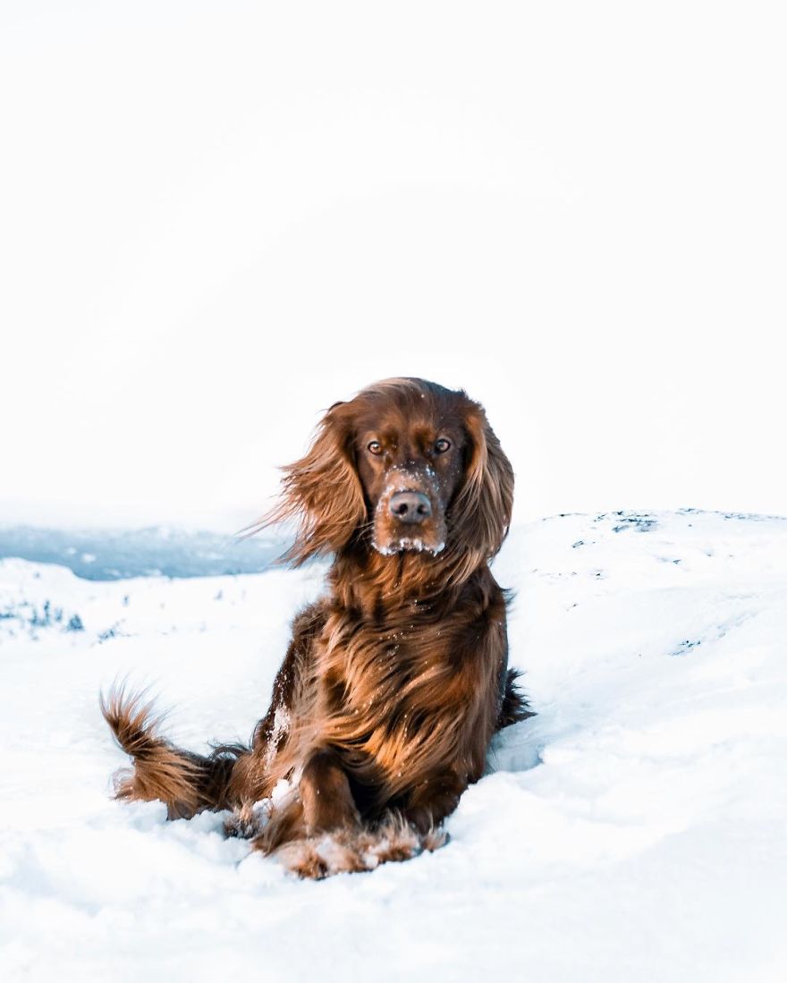 The-Secret-Life-Of-Troja-Photography-George