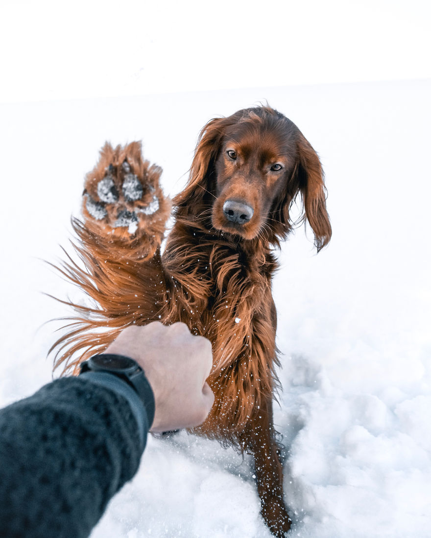 The-Secret-Life-Of-Troja-Photography-George