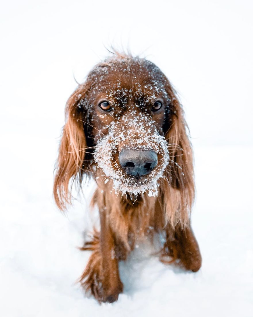 The-Secret-Life-Of-Troja-Photography-George