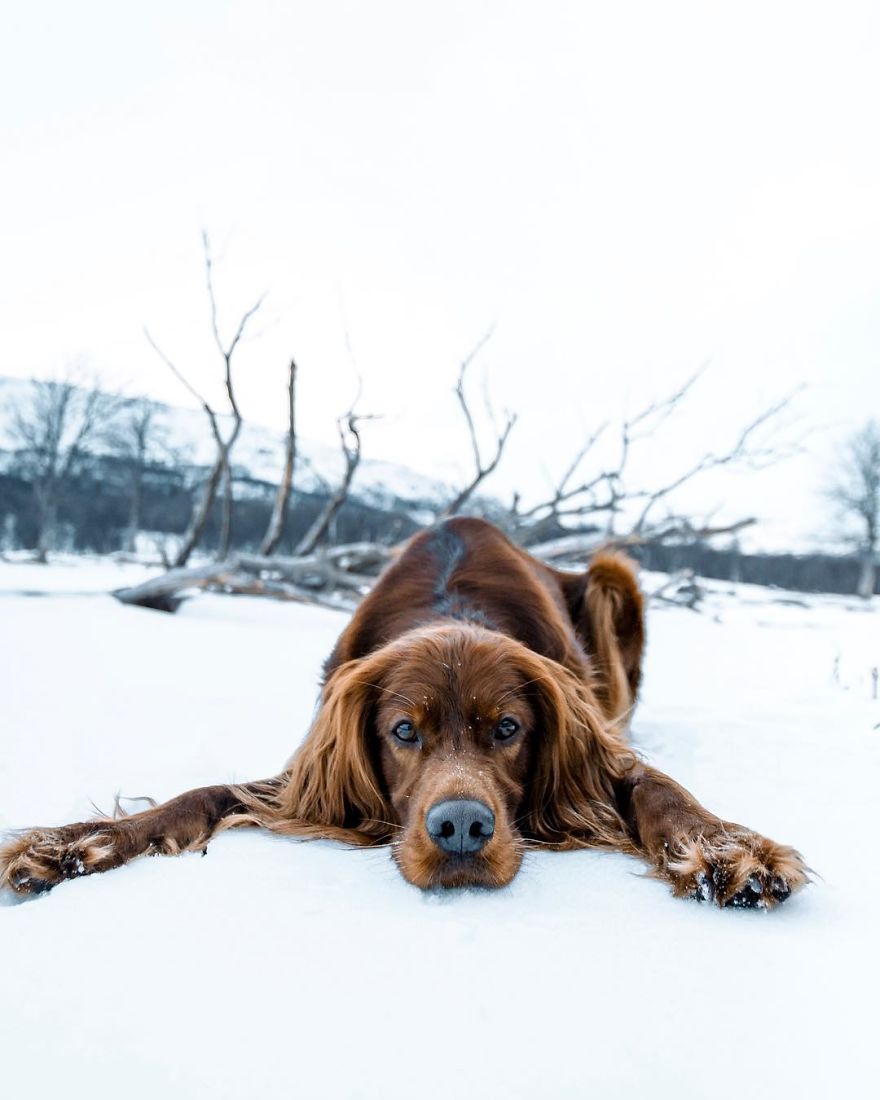 The-Secret-Life-Of-Troja-Photography-George