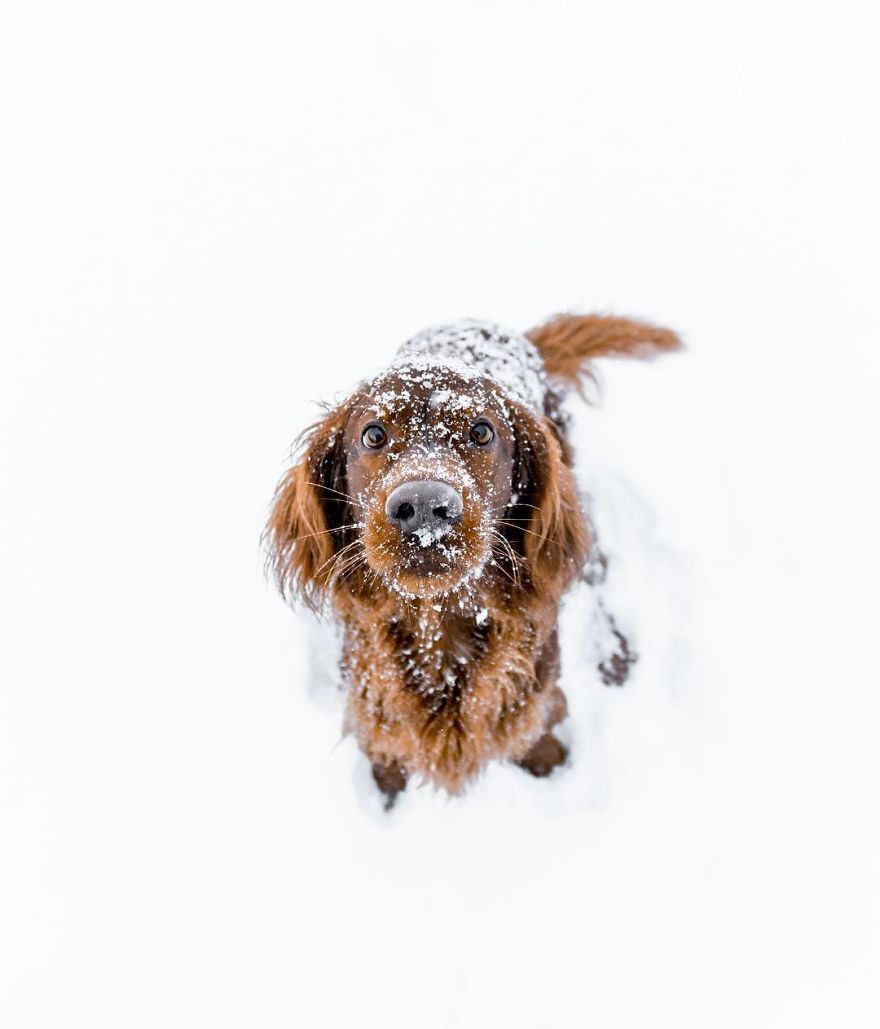 The-Secret-Life-Of-Troja-Photography-George