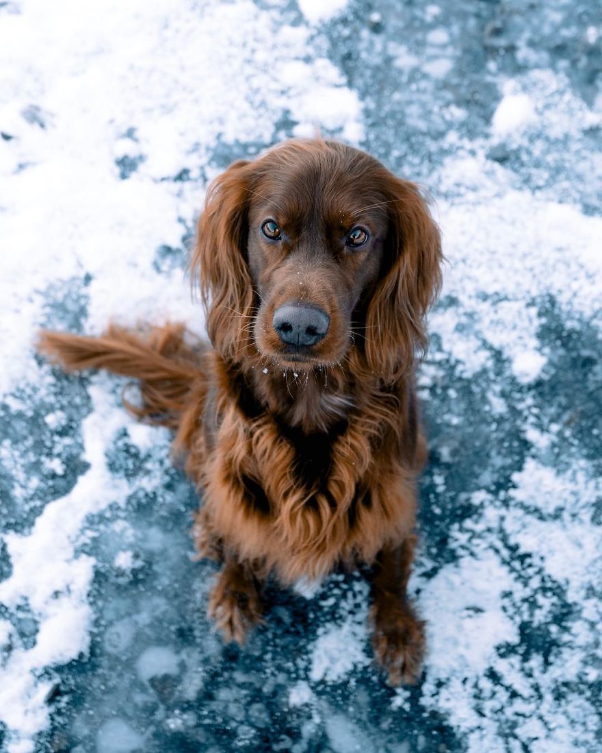 The-Secret-Life-Of-Troja-Photography-George