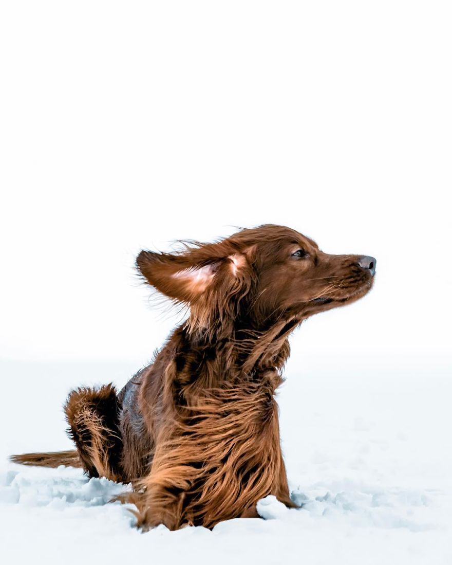 The-Secret-Life-Of-Troja-Photography-George