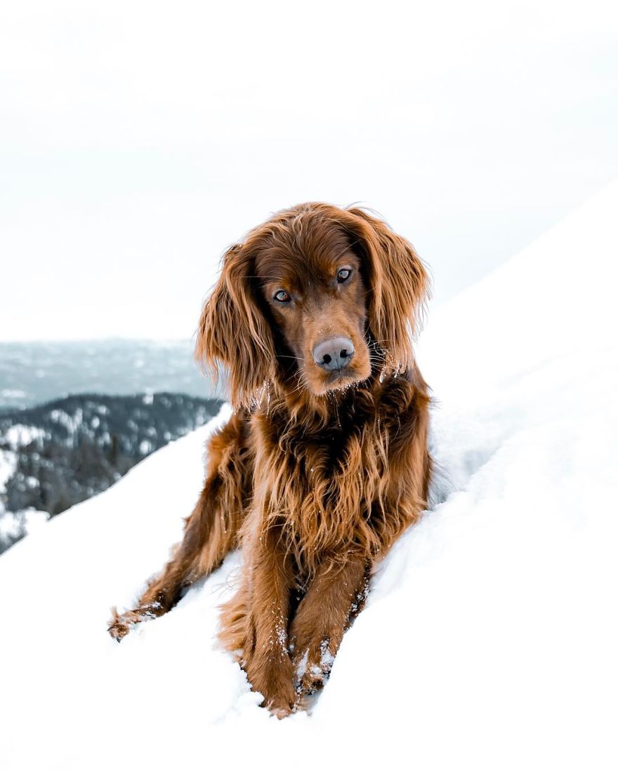 The-Secret-Life-Of-Troja-Photography-George