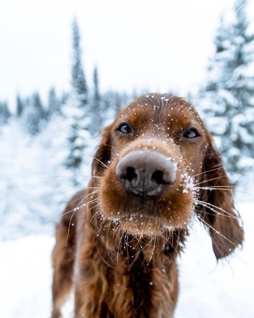 The-Secret-Life-Of-Troja-Photography-George