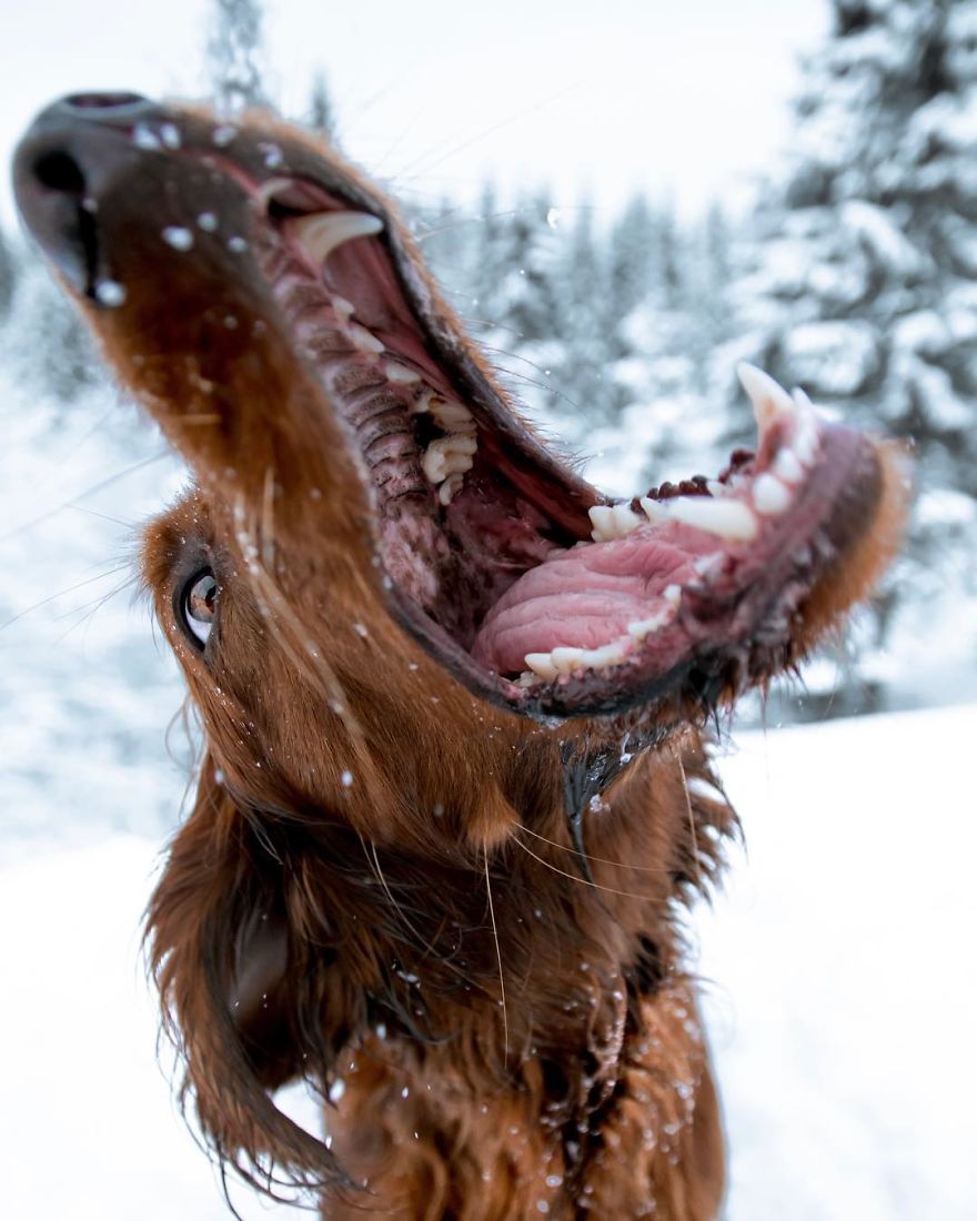 The-Secret-Life-Of-Troja-Photography-George