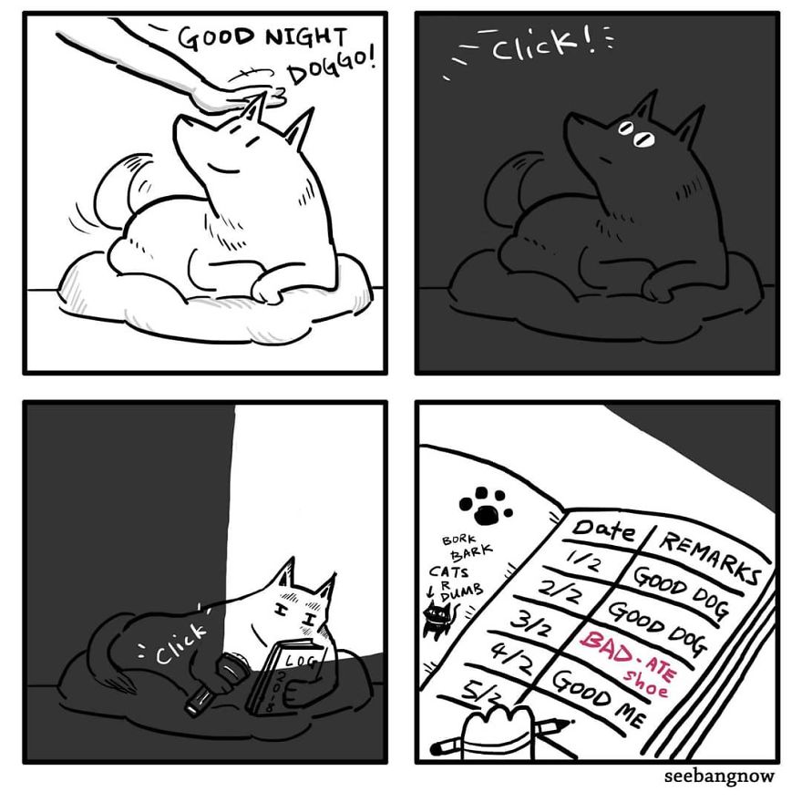 Death, Dogs, Cats And Me