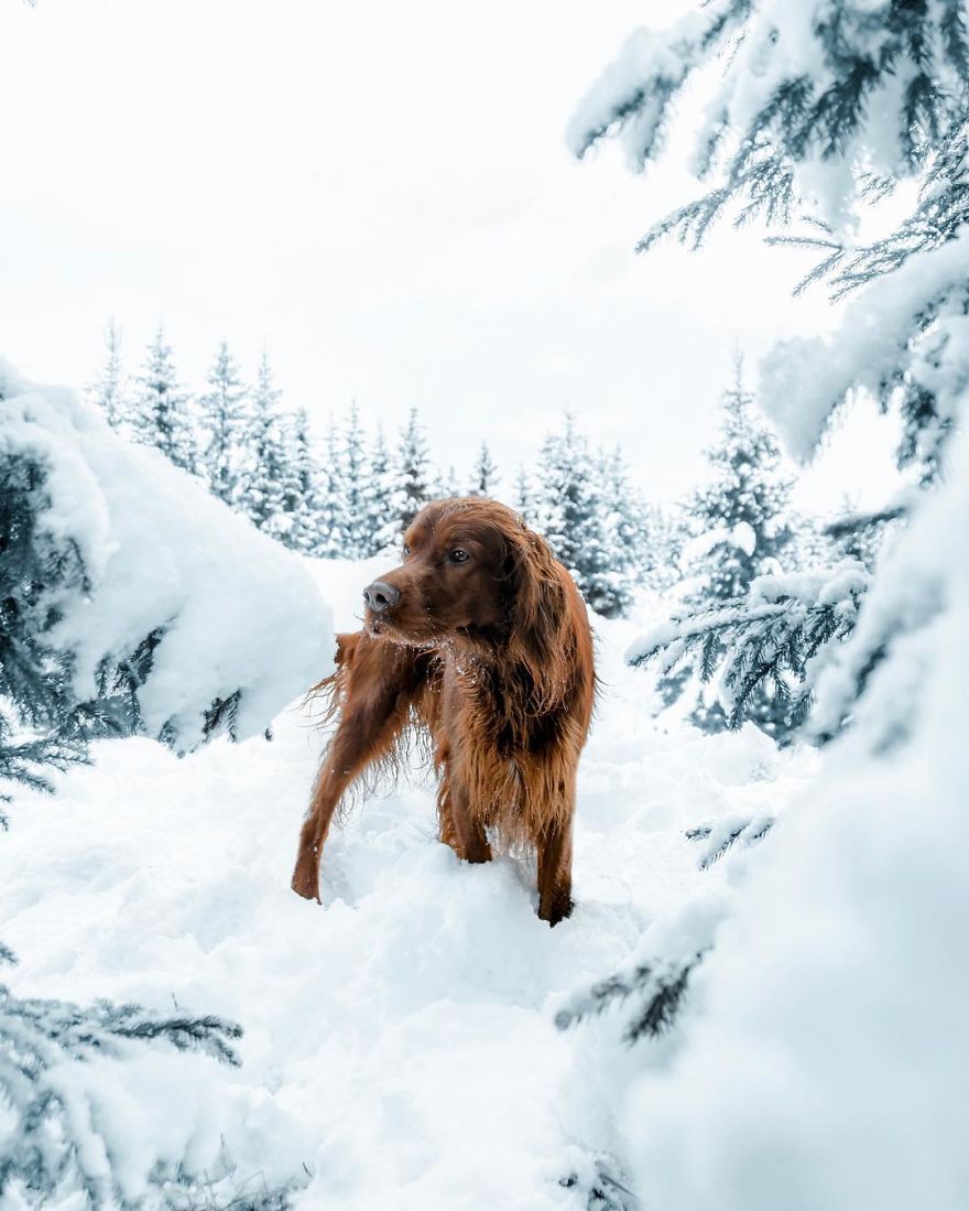 The-Secret-Life-Of-Troja-Photography-George