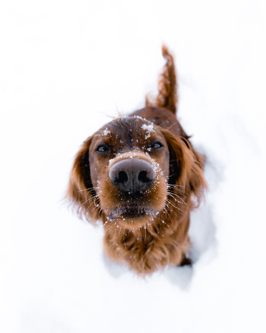 The-Secret-Life-Of-Troja-Photography-George