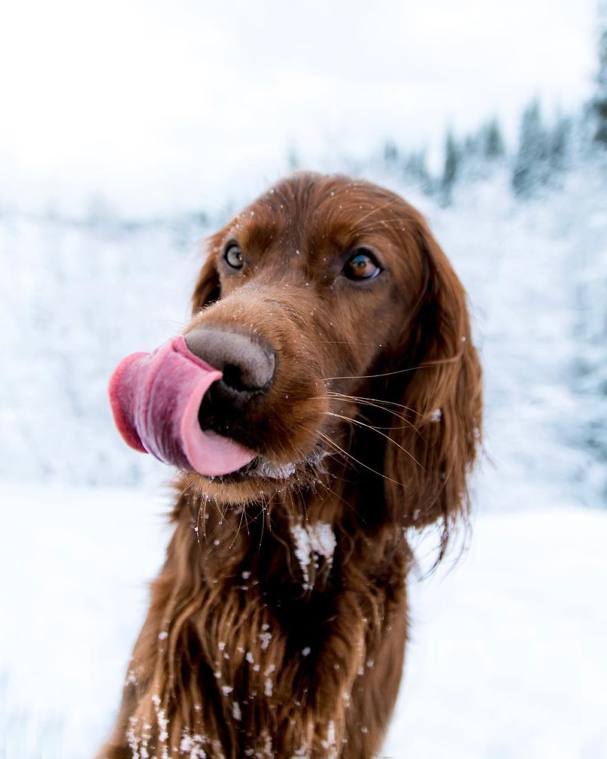 The-Secret-Life-Of-Troja-Photography-George