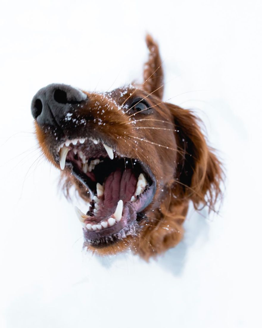 The-Secret-Life-Of-Troja-Photography-George