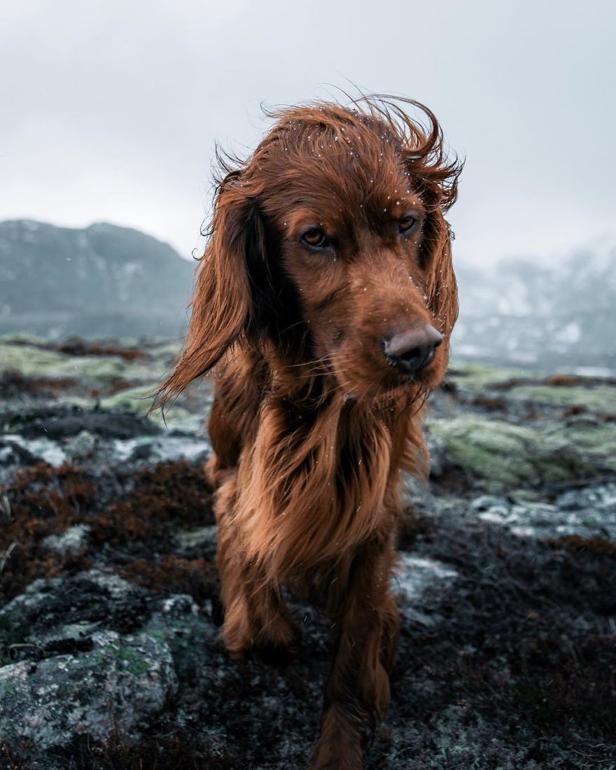 The-Secret-Life-Of-Troja-Photography-George