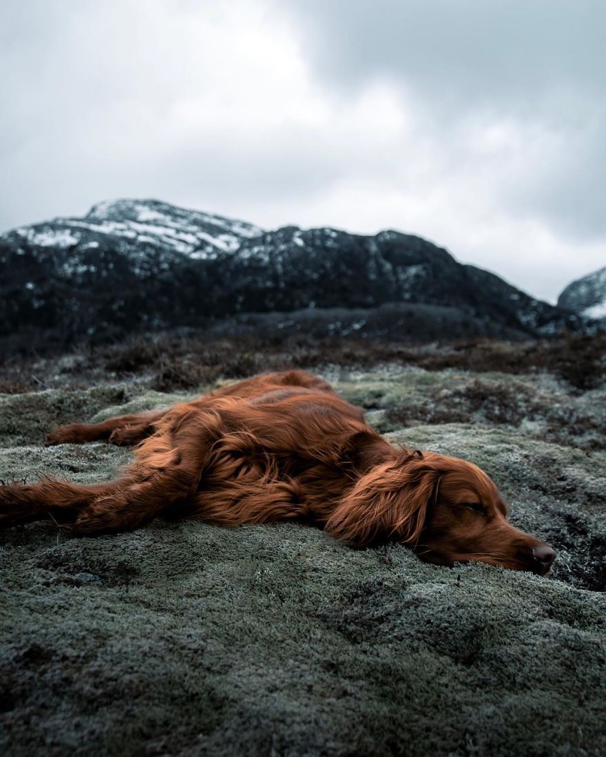 The-Secret-Life-Of-Troja-Photography-George