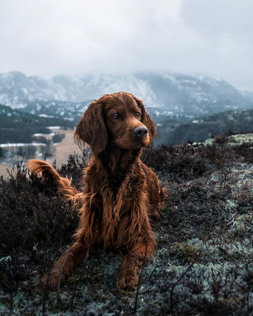 The-Secret-Life-Of-Troja-Photography-George