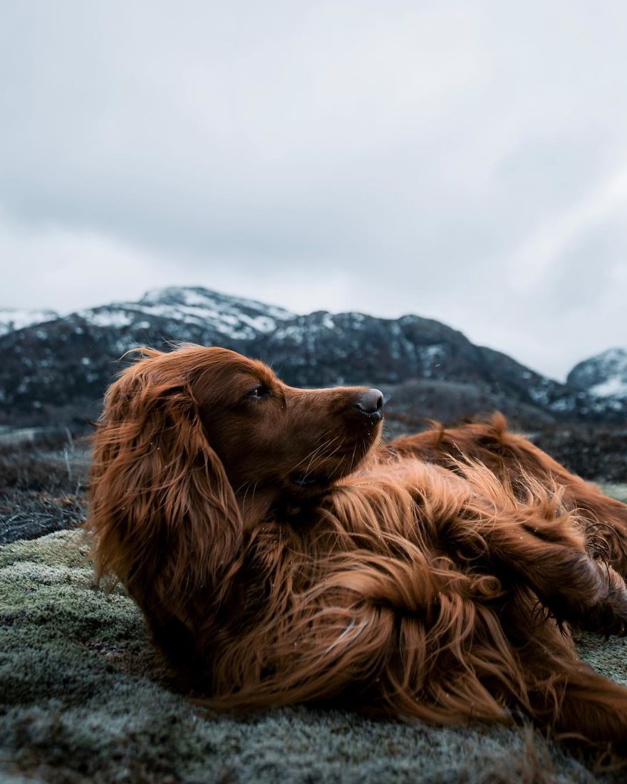 The-Secret-Life-Of-Troja-Photography-George