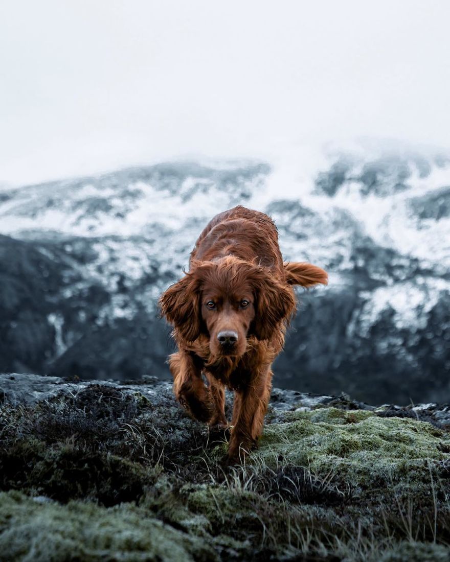 The-Secret-Life-Of-Troja-Photography-George