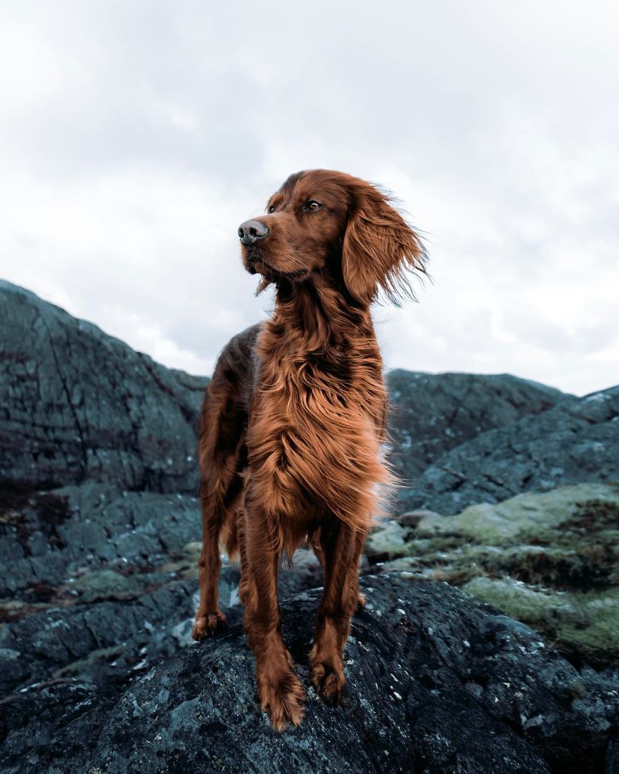 The-Secret-Life-Of-Troja-Photography-George