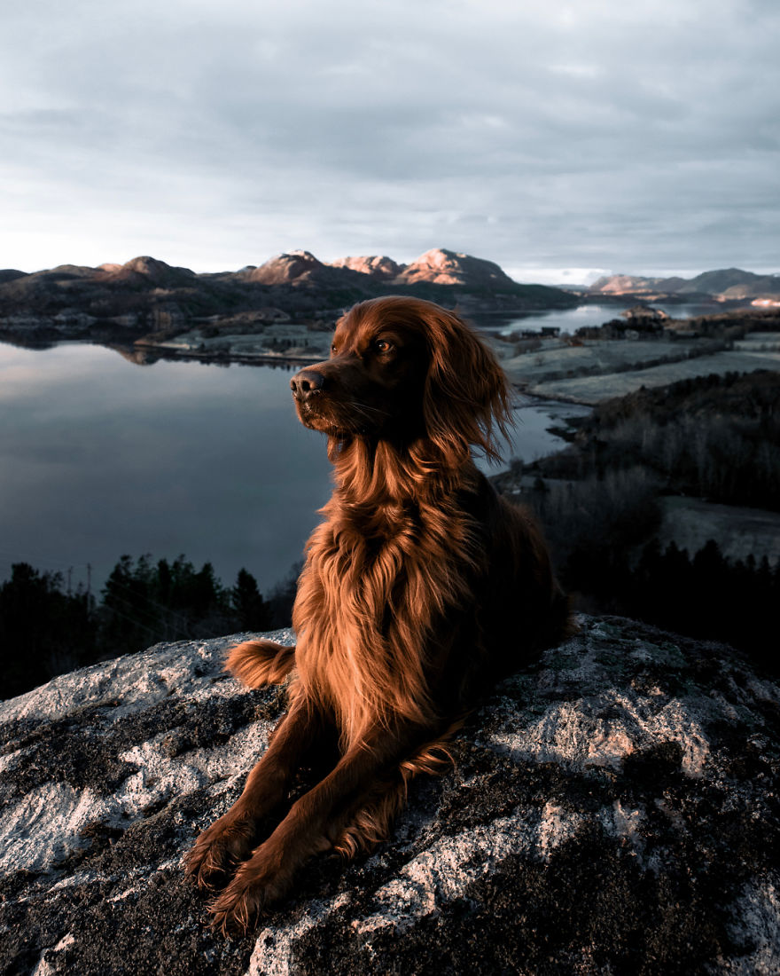 The-Secret-Life-Of-Troja-Photography-George