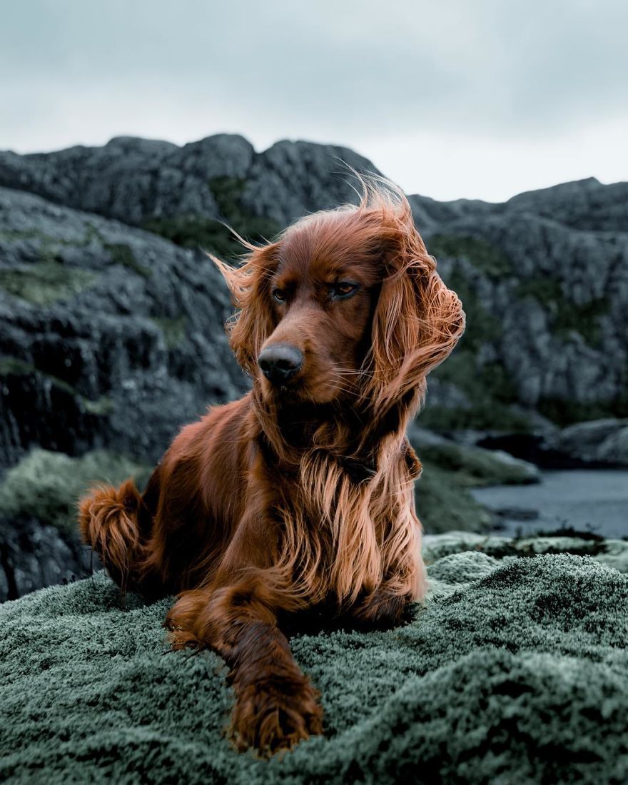 The-Secret-Life-Of-Troja-Photography-George