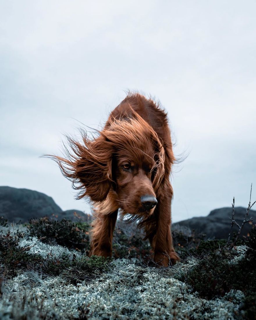 The-Secret-Life-Of-Troja-Photography-George