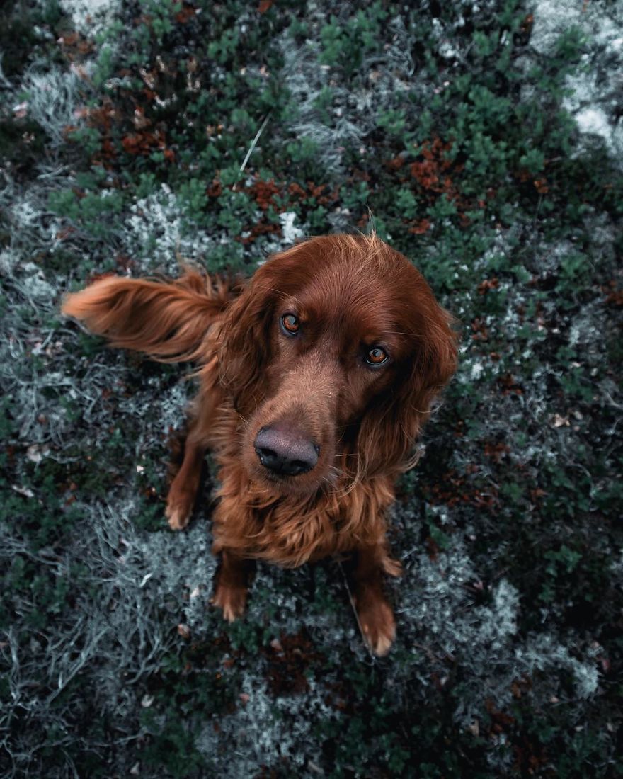 The-Secret-Life-Of-Troja-Photography-George