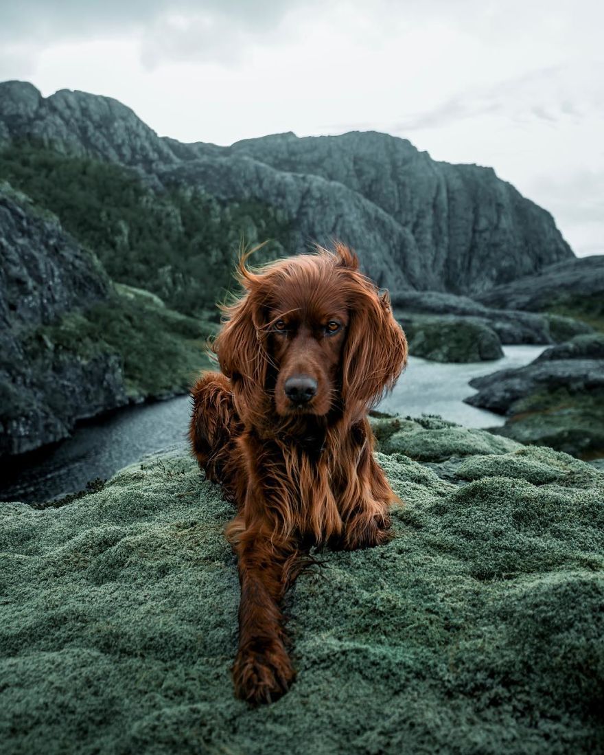 The-Secret-Life-Of-Troja-Photography-George